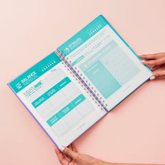 Planeador Financiero