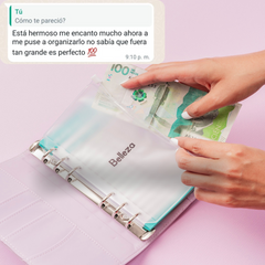 Organizador de Dinero