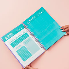 Planeador Financiero